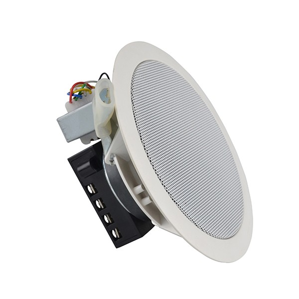In-wall Speaker