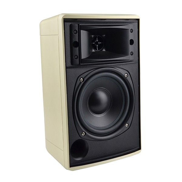 Wall-mounted speaker